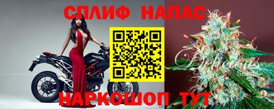 СК Будённовск