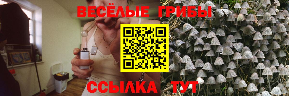 Рыбинск  Галлюциногенные грибы GOLDEN TEACHER  Вход с VPN  Галлюциногенные грибы прущие грибы 